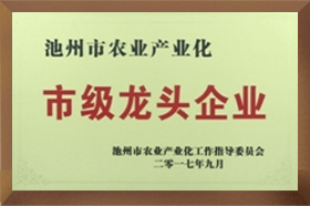 市级龙头好色先生污污视频下载